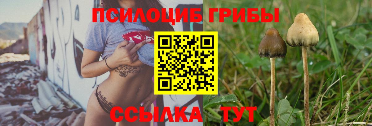 Псилоцибиновые грибы Cubensis  Вход с VPN  Астрахань 